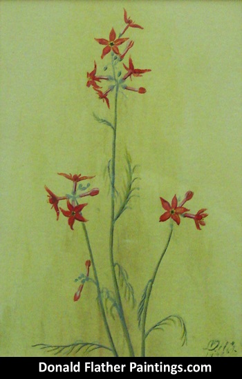 Click here to see Dr. DM (Donald McIntosh) Flather's original watercolour painting Untitled Still Life painting's unframed view